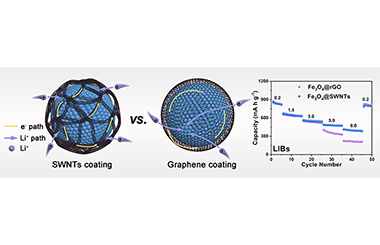 Monodispersed SWNTs Assembled Coating Layer as an Alternative to Graphene with Enhanced Alkali-ion Storage Performance